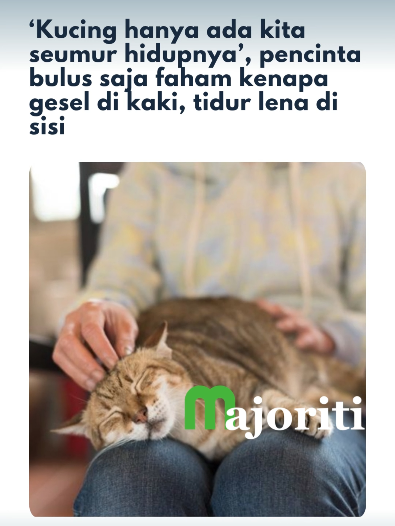 Tapi kalau kucing dah takde, sakitnya tu lain macam :(  #majoriti #beritaditiktok #trendingnewsmalaysia #kucing #kucingbergesel #pemilikkucing