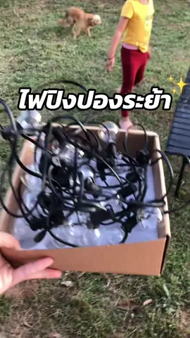 #ไฟปิงปองระย้า #ไฟระย้าปิงปอง #ไฟปิงปอง 