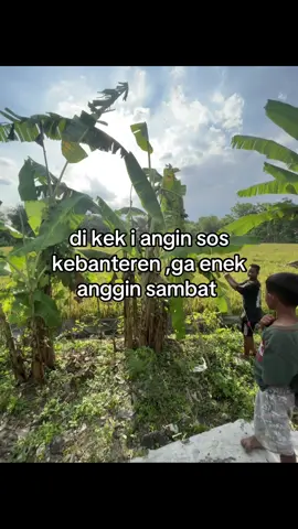 ncen jan#layanglayang #pegontulungagung #ramramanbanyuwangi 