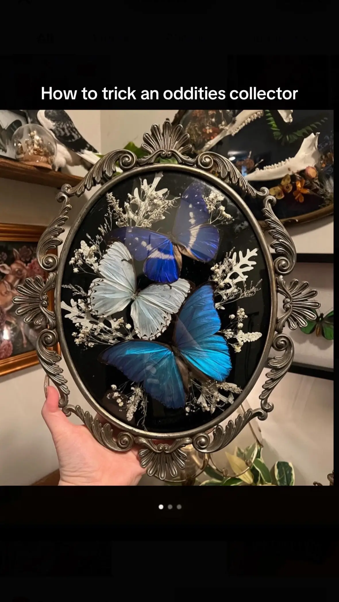ope!  Featuring Ubiquitous Mortem at Oddities & Curiosities Expo ✨