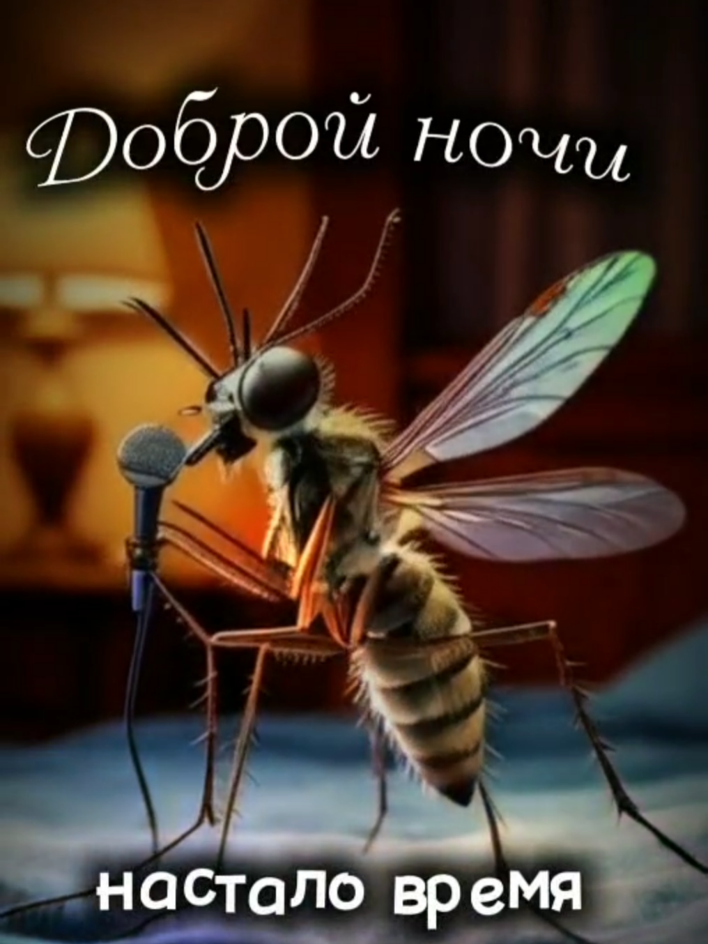 доброй ночи и желаю вам сладких ночей без комориных песен и укусов-)