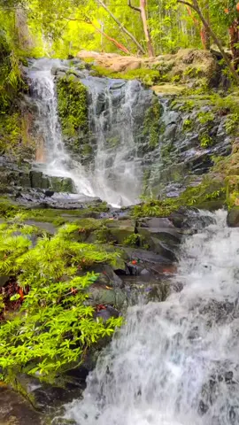 A Day At Kemantan Lidi Waterfall,Engkelili.  #fyppppppppppppppppppppppp #tiktoksarawak #hikingadventures #tr #tiktokviral #tiktokindonesia #alamsemulajadi #viral 