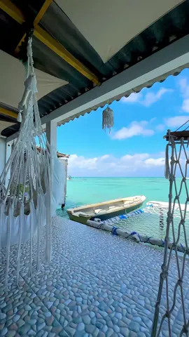 Enjoy your summer on this island 🏝️ #karimunjawa #loyalfriendhostel #loyalfriendkarimunjawa #Summer #indonesia 