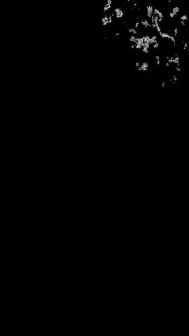 وَلَيتَ الَّذي بَيني وَبَينَكَ عامِرٌ  وَبَيني وَبَينَ العالَمينَ خَرابُ #خالد_الراشد_فك_الله_اسره 