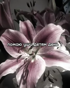 #CapCut #macarena #врекомендации #р_е_к_о_м_и_н_д_а_ц_и_и #fyu #fyp 