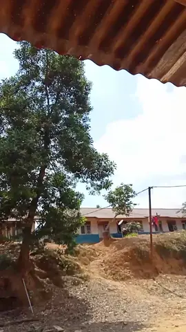 #mxkingred #fyp