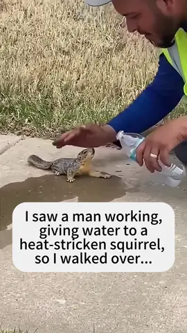 A squirrel’s gratitude🥰#accompany #Love #tiktok #fyp #rescueanimals 