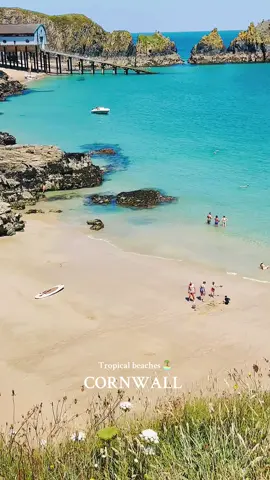 Cornwall looking tropical in the July heatwave🏝️☀️ #cornwall #cornwalltiktok #cornwallbeaches #padstow #beachlife 