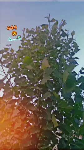 Che JaNaN StRgo Ta GorAm NaSha ShOma🍷🚬♨️@🦅𝐢𝐓𝐬~𝐇𝐚𝐑𝐢𝐒𝐎𝐨🦅 @𝐙(⚔️)𝐊 @👿‼️✌︎︎𝐤𝐡𝐮𝑴𝒂𝒂𝑹𝒊✌︎︎‼️👿 @🫀🦋KHOG ALAK🦋🫀 @۲۲-گریڈ لوفر۔🚩 @Amnakhan🇦🇫 @𝐁ی𝐋𝐨𝐎...🥂🥤 @👑KHOG👑IBAD ..........💚 ✋✋ @<(◠Maلak◕)>🦅 @👑MALAK KHIZAR 👑 @🗿🍂 𝐌𝐔𝐒𝐀 𝐊𝐇𝐀𝐍 🌺🦋 @🥷𝐙𝐀𝐈𝐍-♥︎-𝐊𝐇𝐀𝐍🥷 @🦁  𝑼𝒎𝑨𝒊𝒓__ساقی  🦁..𝐀💘 @🦂‼AbuzaR-³²⁴‼️🦂 @𝐌𝐊_2♕︎ @🦁❗𝑲𝒉𝒊𝒛𝑨𝒓_𝒉𝑶𝒕𝒊𝒊❗🦁 @Malik Yasir #fyppppppppppppppppppppppp ##burhan_tv #100k #پشتون_تاجیک_هزاره_ازبک_زنده_با 