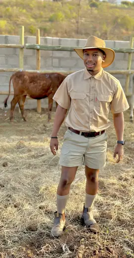 City roots, but I thrive in the dirt 🌾……..  #Far#FarmerStyler#FarmTokr#RuralBossu#YoungFarmerr#AfricanDreami#DailyGrindr#FarmFitn#MensStyleZAt#CattleLifer#HardWorkPaysOffr#FarmWithPrideu#SouthAfricaContentp#ExplorePagek#TikTokSAr#ViralZAowOnTikTok
