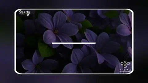 SMART_LYRICS🌹🌷🌹 GOOD 〽️ORNING FANS💝 #viralvideos #trendingsong #lyrics_songs #hausatiktok #video #goviral 