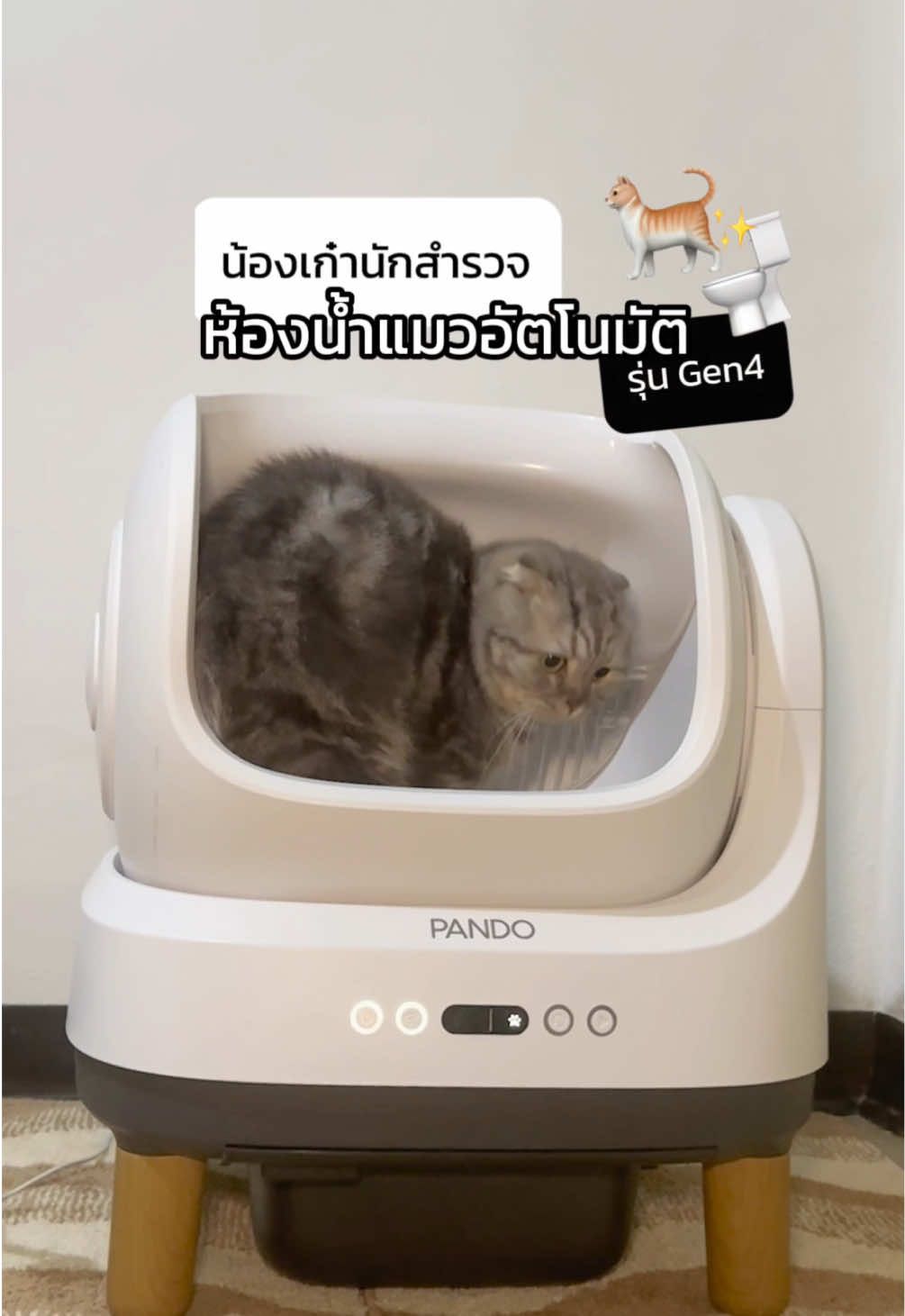 น้องฮะเก๋าพาสำรวจ 🔎🐈‍⬛ Pando ห้องน้ำแมวอัตโนมัติรุ่น 4  ✨ดีไซน์เปิดกว้าง หมุนตัวได้สบายมาก ไม่อึดอัด ✨รับน้ำหนักได้สูงสุด 20 กก. ✨ระบบเซนเซอร์ตรวจจับน้ำหนักแม่นยำยิ่งขึ้น  #pandobrand #สวนสัตว์tiktok #yourpetwecare #แพนโด้ #สัตว์เลี้ยง #ห้องน้ําแมว #ห้องน้ําแมวอัตโนมัติ #รีวิวของใช้สัตว์เลี้ยง #ห้องน้ำแมวรุ่น4 