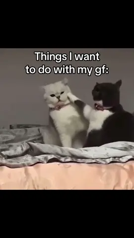 Things i want to do with my gf #CapCut #couples #couplegoals #Relationship #girlfriend #boyfriend #kitten #cats 