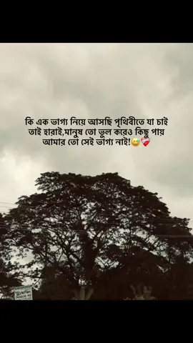 কি এক ভাগ্য নিয়ে আসছি পৃথিবীতে যা চাই তাই হারাই,মানুষ তো ভুল করেও কিছু পায় আমার তো সেই ভাগ্য নাই!😅❤️‍🩹 #muhammad_taohid  #copylinkplease💗  #repost❤️🙌🏻  #foryoupage  @TikTok Bangladesh 