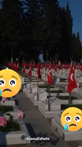 15 temuz şehitlerimizi ve tüm vatan severlerimizi saygiyla Allahin rahmetiyle Aniyoruz🥺🥹