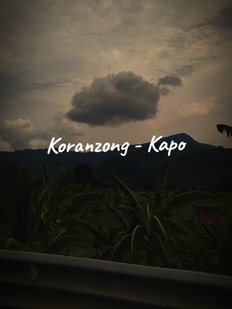 Yo no salía, todos los planes los cancelaba...🎶🌴Korazong-Kapo #kapo #korazong #lyrics_songs #fpyシ #letras #paratii  #letrasdecanciones #musica #rolitas 