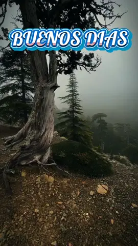 #oraciondelamañana #OracionDeFe 