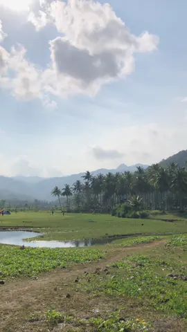 🐃🐃🐃🌴🌴🌴🏝️🏝️#pantaikebo #pantaikebomunjungan #pantaikebotrenggalek #munjungantrenggalek #pantai #munjungantrenggalek #pantai #trenggalek #fyp 
