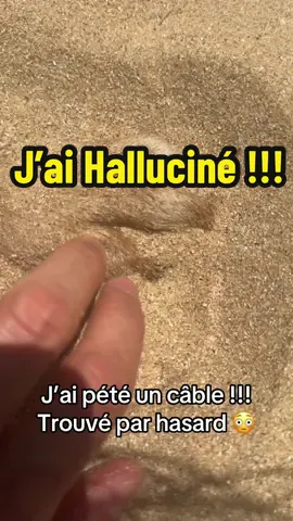 Une chance sur 1 milliard. Un des item les plus rare au monde. Heureusement j’avais des témoins de cette découverte majeure avec moi : nottament Neel, mon chien qui n’en croyait pas ses yeux.  #foryou #pourtoi #comedy #tapage #chien #chiens 
