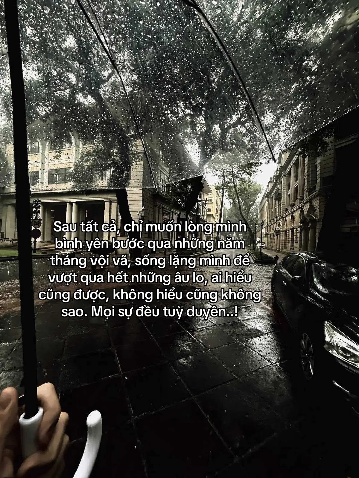 #fyp #xuhuongtiktok #tamtrang #viral 