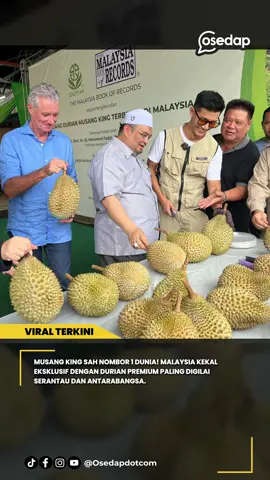 Durian Musang King Malaysia Dinobatkan ‘Raja Segala Raja' Buah Baca artikel penuh di website Osedap! tekan link dekat Bio sekarang! 👆🏻 Sumber : Fb Untuk kredit atau apa2 berkaitan konten, boleh terus DM ye 😘 #osedapdotcom #viralvideo #viraltoday #fyp #viralapaharini #viralnews #musangking #rajabuah #durian #buahantempatan #buahkita