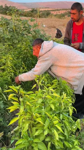 Güneşin doğuşu 🥰🥰🥰