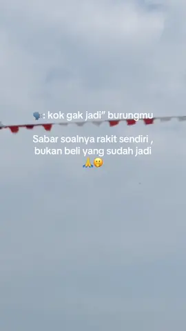 Harus banyak sabar nya #merpatikolongbebas #merptilover #merpatibalapindonesia @Mas rudiimsw @ferdi_gumay 