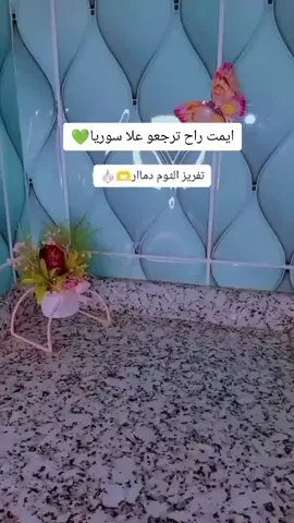 راح ترجعو علا سوريا💚#مطبخ_ام_ارام #مطبخ__روليان #راجعين_على_سوريا #سوريا #شعب_الصيني_ماله_حل😂😂 