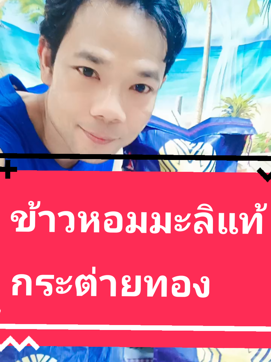 ข้าวหอมมะลิสุรินทร์แท้ ตรากระต่ายทอง##ข้าวหอมมะลิสุรินทร์แท้💯🌾🌾 #ตรากระต่ายทอง  #tiktokพากิน #ของดีบอกต่อ#ข้าว #ข้าวหอมมะลิ #ข้าวหอมมะลิสุรินทร์ #ของดีบอกต่อ #แม่บ้านมือโปร #แม่บ้าน #มาดามปุ๊กกี้กับพี่พ่อบ้าน @มาดามปุ๊กกี้กับพี่พ่อบ้าน @มาดามปุ๊กกี้กับพี่พ่อบ้าน @มาดามปุ๊กกี้กับพี่พ่อบ้าน 