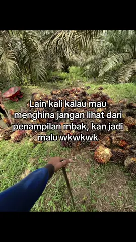 Malu kan😩🤣🤣🤣. #petanisawit #sawitontiktok #storysawit🌴🌴 #sawitriau #fyp #foryoupage 