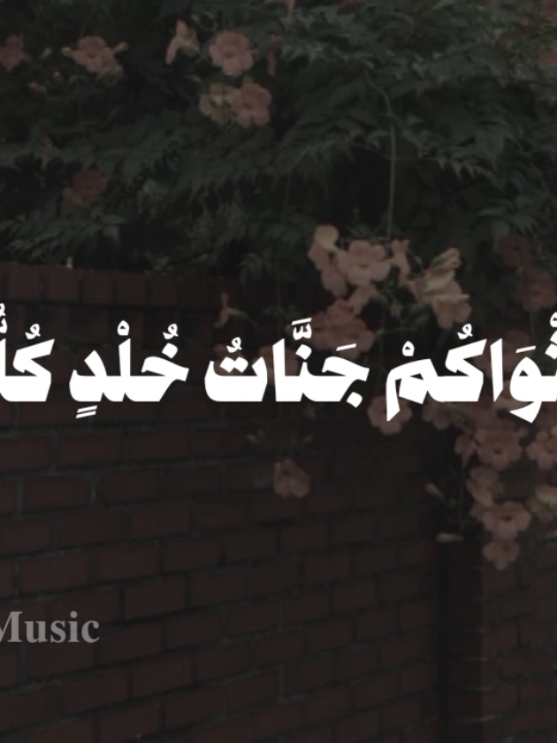بدون موسيقى🤎 #سبقو_اليك_وفي_النفوس_مرارة  #اناشيد #بدون_موسيقي #no_music  #محمد_ماهر_صلاح_شاهين 