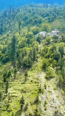 Pakhtun 💔🥺 #Rip @matiullah_torab_ official11  #pakhtun  #aman 