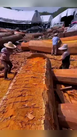 Dari Pohon Tua Jadi Pintu Istana: Keajaiban Ukiran Tiongkok! Tagar: #SeniTradisionalChina #KerajinanKayuUnik #FaktaBudayaDunia