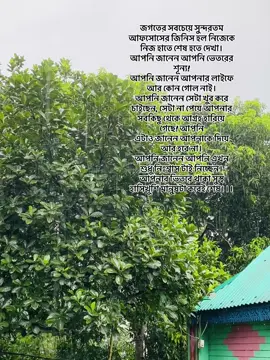 জগতের সবচেয়ে সুন্দরতম আফসোসের জিনিস হল নিজেকে নিজ হাতে শেষ হতে দেখা। আপনি জানেন আপনি ভেতরের শূন্য! আপনি জানেন আপনার লাইফে আর কোন গোল নাই। আপনি জানেন সেটা খুব করে চাইছেন, সেটা না পেয়ে আপনার সবকিছু থেকে আগ্রহ হারিয়ে গেছে! আপনি এটাও জানেন আপনাকে দিয়ে আর হবে না। আপনি জানেন আপনি এখন শুধু নিঃশ্বাস টাই নিচ্ছেন। আপনার ভিতরে থাকা সুস্থ হাসিখুশি মানুষটা কবেই শেষ।।।#foryou #foryoupage #fypシ #caption #ahonarahman69 