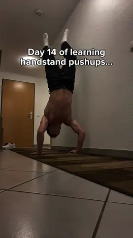 Imagine not learning handstand pushups in two weeks… #handstand #pushup #calisthenics #training #progression #motivation #discipline #skill #bodyweighttraining #journey 