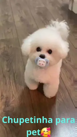 🐶💖 Seu pet também merece um carinho extra! 💖🐾 Chegou a Chupeta Pet Relax – a solução perfeita para acalmar, distrair e deixar seu bichinho ainda mais feliz! ✨ Benefícios: ✅ Reduz o estresse e a ansiedade ✅ Ideal para filhotes que estão na fase de dentição ✅ Material 100% atóxico e super resistente ✅ Pode ser usada como brinquedo ou conforto ✅ Indicado para cães de pequeno e médio porte 💬 “Meu cachorro não larga mais! Dorme agarrado com a chupeta, super fofo!” – Camila, cliente satisfeita 🎁 Promoção especial:  👉 Clique em 