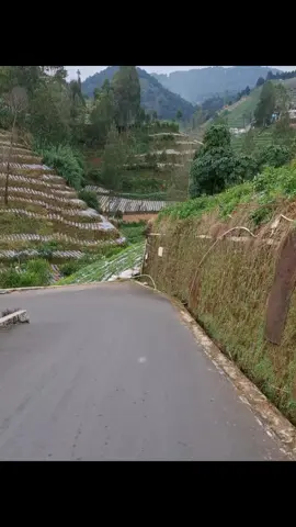 jalan curam #gunungprau #basecamp #gunungprau #wonosobo #fypシ 