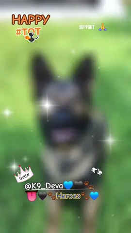 Happy Tongue 👅 out Tuesday Queen 👑 @K9_Deva💙🖤🐾 the best of the best amazing k9 team!  🐾💙🙏  #tongueouttuesday👅 #k9unit #k9softiktok #copsoftiktok #heroes #backtheblue #fypage 