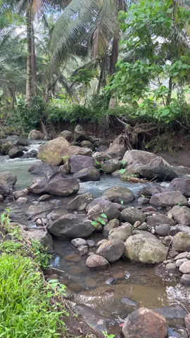 Pang story nyo mga boss #fyp #foryoupage #nature 