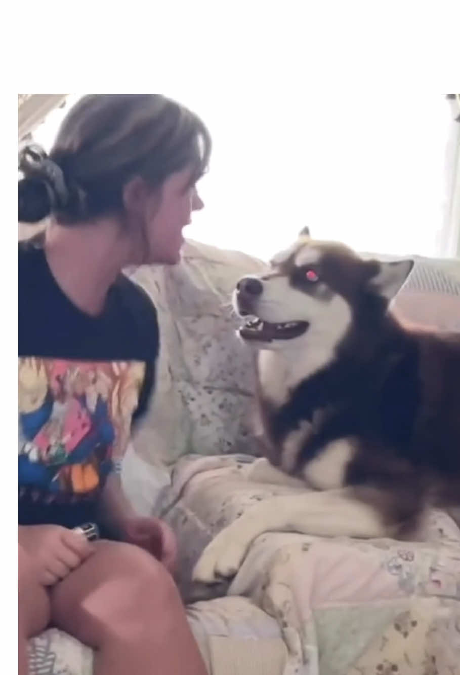 Dramatic dog#funny #fyp #dog #funnydog #funnyvideos #doglover #foryoupage 