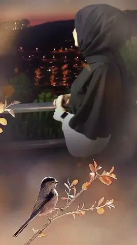 #ادعية_اسلامية_تريح_القلب يا ربّ أدعوك دعاءً لا أعرف كيف أُرتبه، وأنت تُبصر الفؤاد، وتلمس حاجة قلبي بيدك، فاللهم أيامًا كما أحب، وحالاً إلى ما هو أفضل، وهمًا لا يبقى قائمًا في صدري، وفرحة ليس لها انتهاء.. 