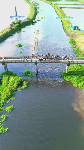 ডাল পা বিল মুরাদনগর বাংগরা #bdtiktokofficial🇧🇩 #comilla #কাশিপুর #CapCut #বাঙ্গরা 