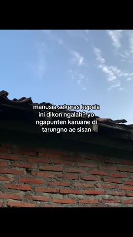 #4upage #fyp #berandafyp #fypage #4u 