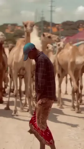 ninkii curiye rag bu aha☠️🫡#CapCut #fpyシ @T͜͡ᗩᗩX͜͡Oᗯ٭͜:(🤴🏿🧃 