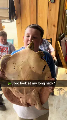 The turtle’s’ neck so long 🤣🤣#funny #for #foryou #fyp #foryoupage #funnyvideo #cute #pet #animal #animalsoftiktok #usa🇺🇸 #pets #funnyvideos #funnymoments #animals #animalsoftiktok #usa #turtle #turtle 