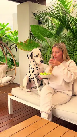 Fresh filtered Water  & Ice? ✔️ No fridge smell? ✔️ Rio-approved? Obviously🐾 My LG fridge is my FAVOURITE appliance in the house by far!  Having filtered water and Ice on demand is a game changer in Perth summers!  Between the genuine water & air filters and how quick and easy they are to change, it just makes life feel a little more sorted. This fridge has seriously stepped up our kitchen game 💧✨ @LG #LifesGood #RediscoverGood  #ad