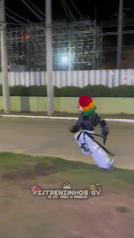 #carretafuracão #diversao #trenzinhodaalegria #danca #viralvideo #fyp