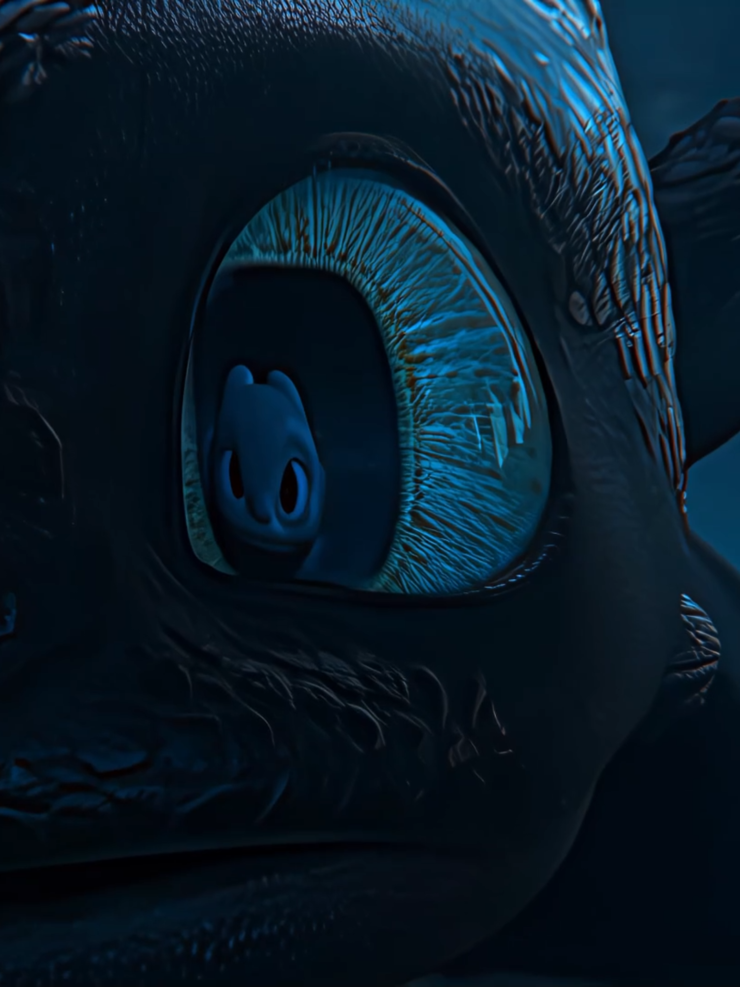 why does everyone hate light fury? remade old edit with new quality #httyd #httyd3 #httyd2 #httydedit #toothless #hiccup #howtotrainyourdragon #какприручитьдракона