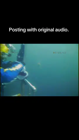 Jellyfish Attacks!  With original audio. #deepsea #underwaterphotography #commercialdiving #ocean #jellyfish 