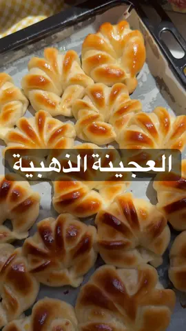 العجينة الذهبية  في العجانة الكهربائية  كوب ماء دافيء + ملعقة خميرة + ملعقتين خميرة  اتركها دقيقتين واضيف: ربع كوب حليب بودرة  ثلث كوب زيت  نص كوب لبن زبادي بحرارة الغرفة م/ص ملح  ملعقة ونص سكر  ٤ اكواب دقيق كويتي  م/ص بكنج باودر  واضيف ثلث كوب حليب دافي  واعجن مدة ٨ دقايق واتركها تخمر ساعه واعجنها مرة ثانيه واستخدمها زي مااحب  الحشوة : كوب جبن قشقوان مبشور + كوب جبن تشيدر  بعد ماشكلها اتركها تخمر عشر دقايق وادهنها : ملعقتين كبار حليب بودرة + ملعقة وسط سكر مخلوطين بماء ولما تخرج من الفرن ادهنها زبدة ذايبة 